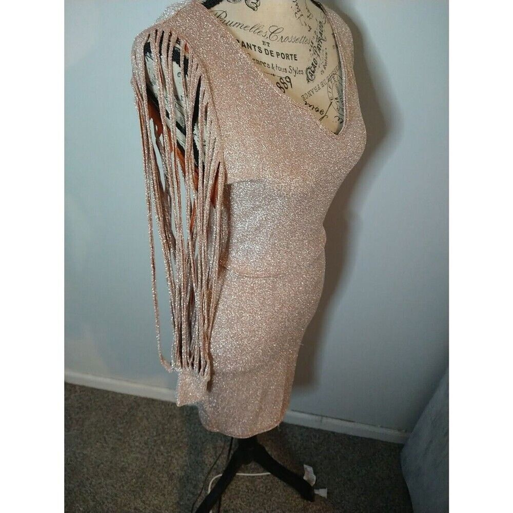 Vintage Blush Sliced Long Sleeve Shiny Blush Small Knee Length Dress